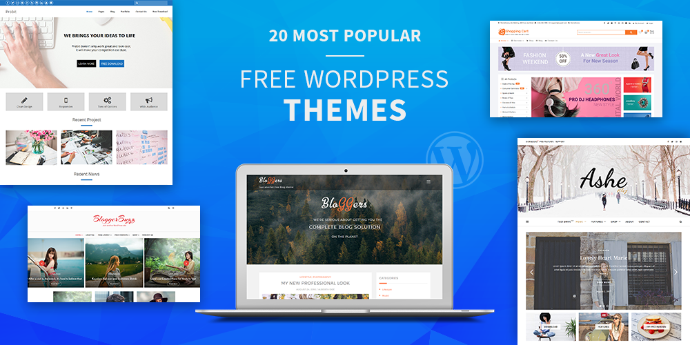 Top Tips for Selecting a WordPress Theme for Your Website.