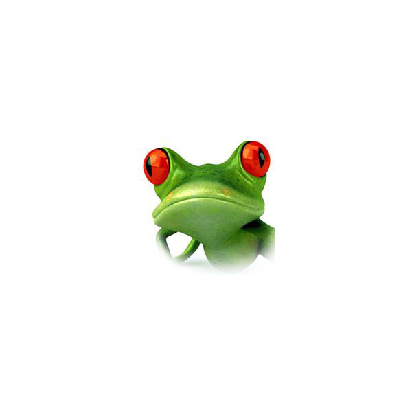 cyberfrog design